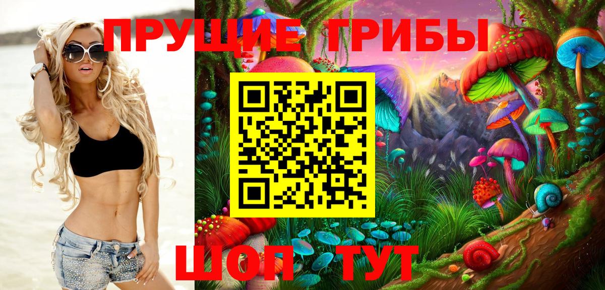 Псилоцибиновые грибы Psilocybe  Вход с VPN  Йошкар-Ола 