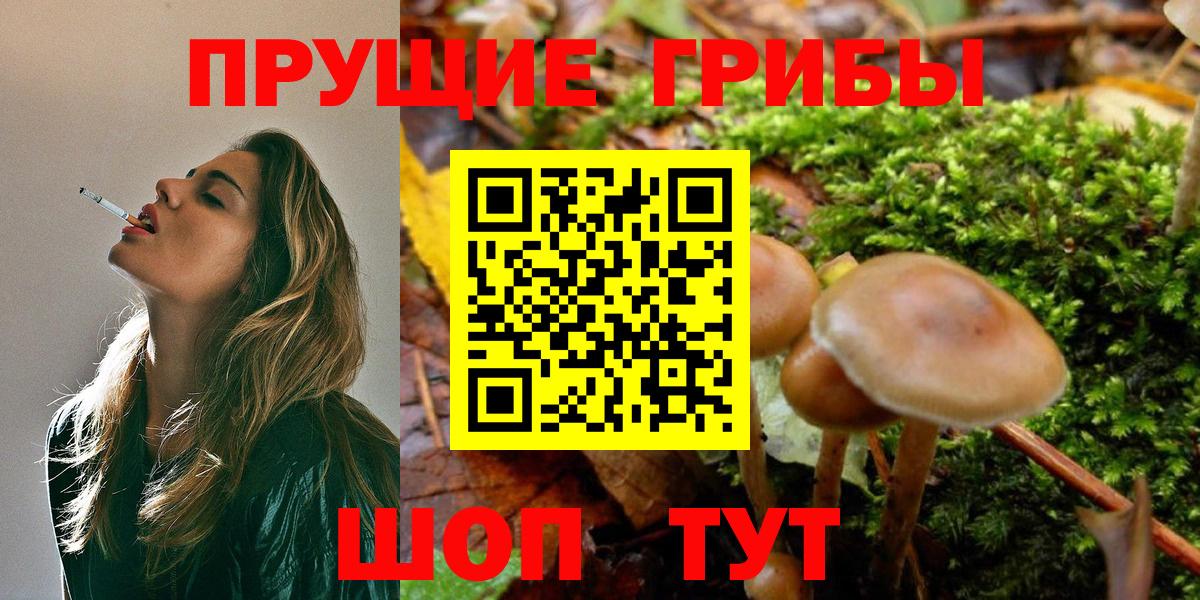 Галлюциногенные грибы мухоморы Йошкар-Ола